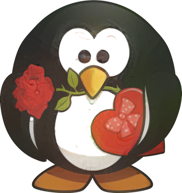Transparent Valentines Day Greeting Note Cards Penguin Flightless Bird Bird for Valentines Day