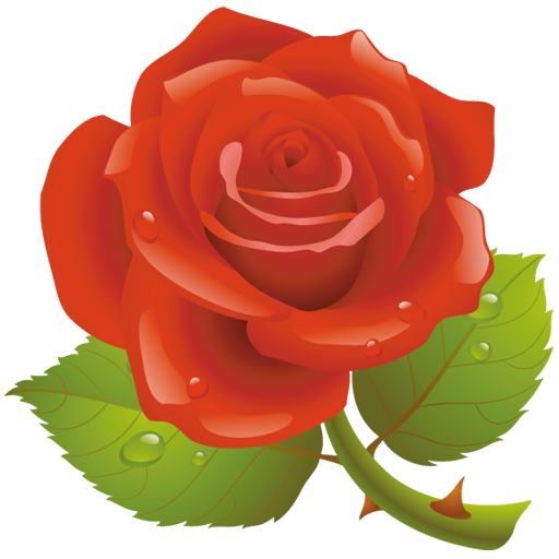 Transparent Red Valentines Day Rose Plant Flower for Valentines Day