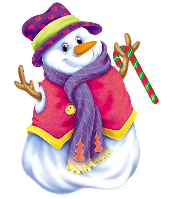 Transparent Snowman Winter Christmas Flightless Bird for Christmas