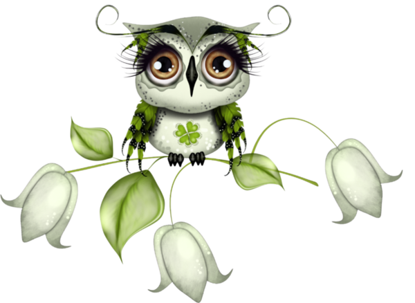 Transparent Owl Bird Little Owl Leaf for St Patricks Day