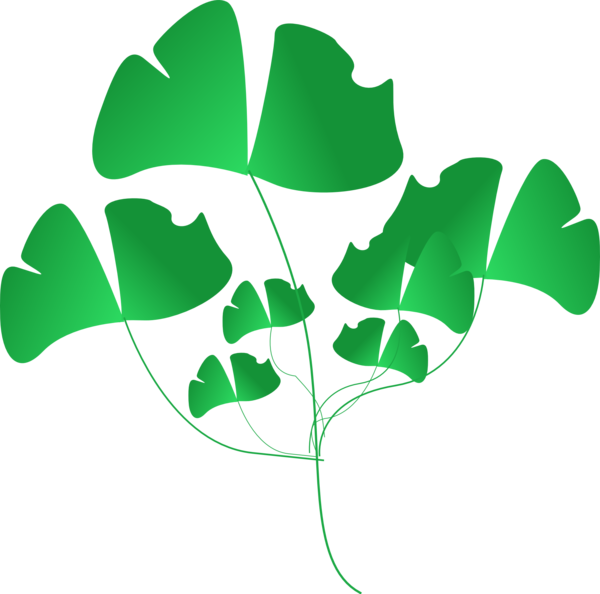 Transparent Leaf Palm Branch Silhouette Plant for St Patricks Day