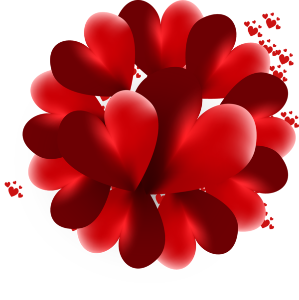 Transparent Heart Love Valentine S Day Flower for Valentines Day