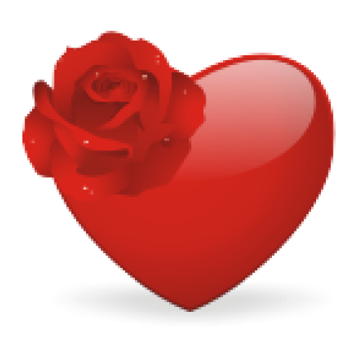 Transparent Heart Rose Valentine S Day Flower for Valentines Day