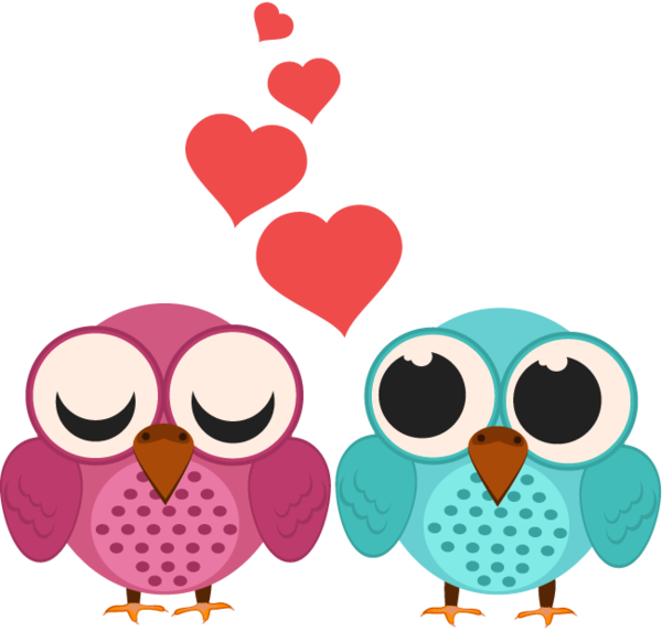 Transparent Valentine S Day Couple Love Owl for Valentines Day