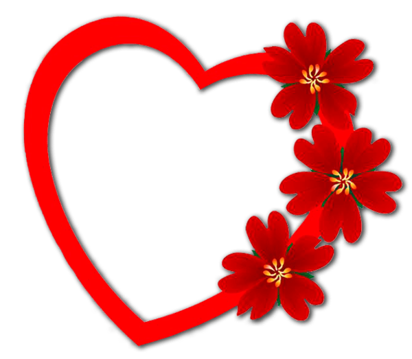 Transparent Heart Flower Shape Flora for Valentines Day
