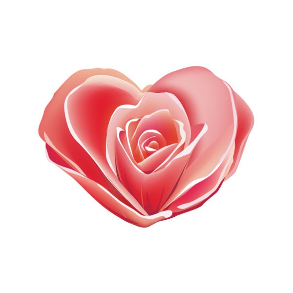 Transparent Valentine S Day Heart Romance Flower for Valentines Day