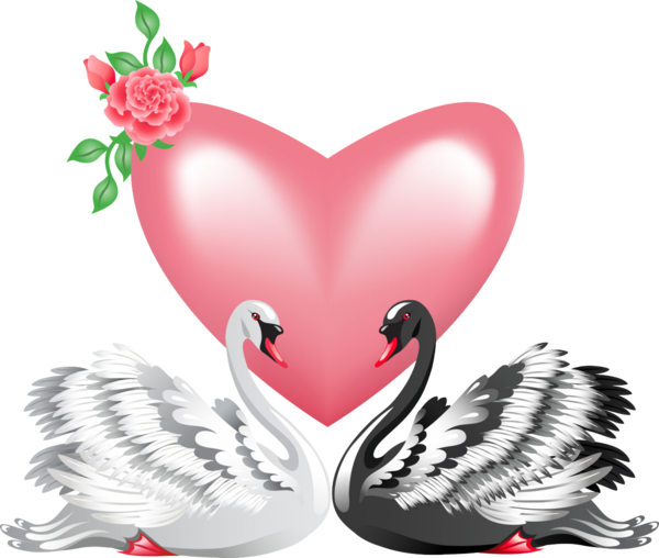 Transparent Black Swan Bird Valentine S Day Butterfly Heart for Valentines Day