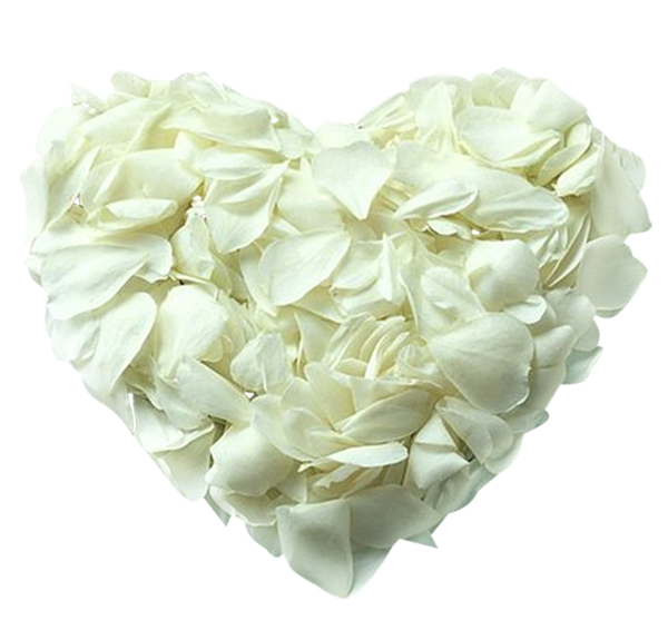 Transparent Heart Valentine S Day Rose Flower for Valentines Day