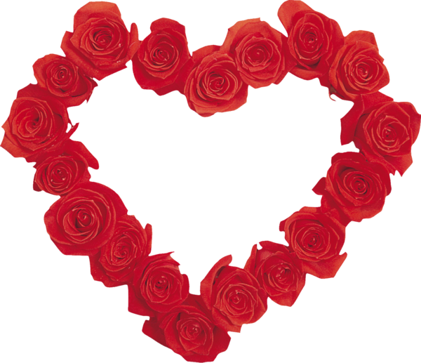 Transparent Flower Garden Roses Heart Petal for Valentines Day