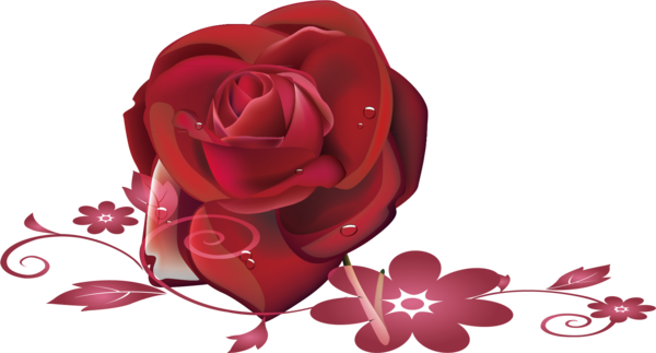 Transparent Garden Roses Beach Rose Petal Heart Flower for Valentines Day