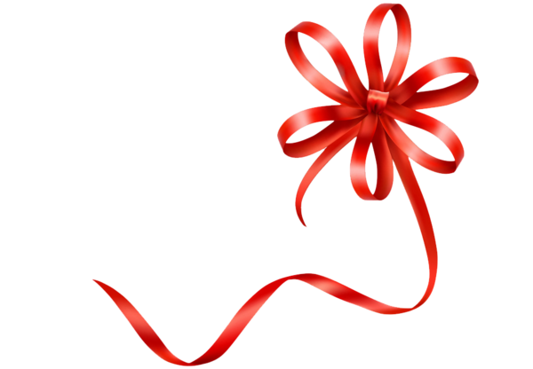 Transparent Ribbon Material Red Ribbon Heart Flower for Valentines Day