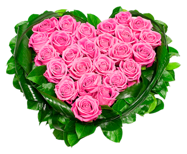 Transparent Rose Flower Heart Pink for Valentines Day