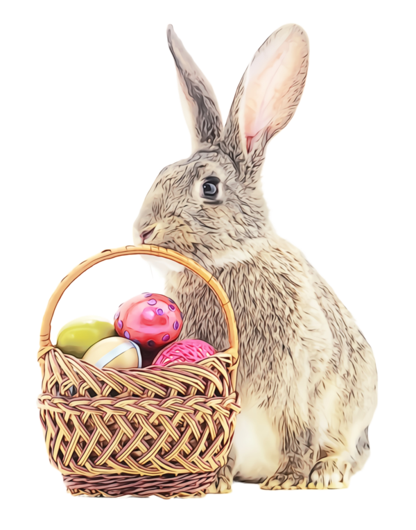 Transparent Rabbit Domestic Rabbit Rabbits And Hares for Easter