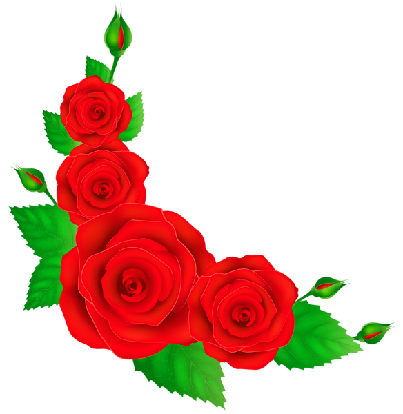 Transparent Rose Flower Red Petal Heart for Valentines Day