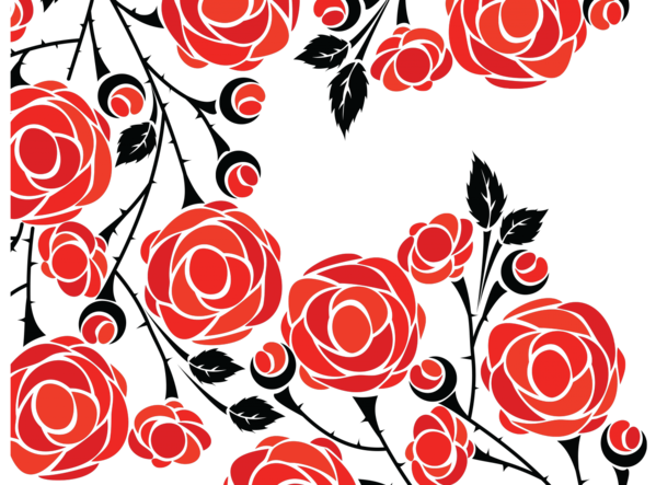 Transparent Rose Flower Drawing Heart Rose Order for Valentines Day