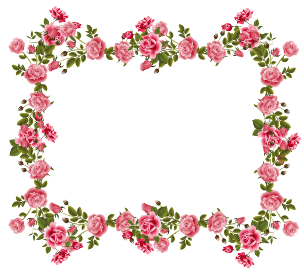 Transparent Borders And Frames Flower Rose Pink Heart for Valentines Day