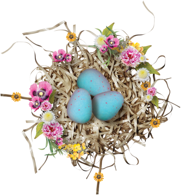 Transparent Bird Bird Nest Nest Easter Easter Egg for Easter