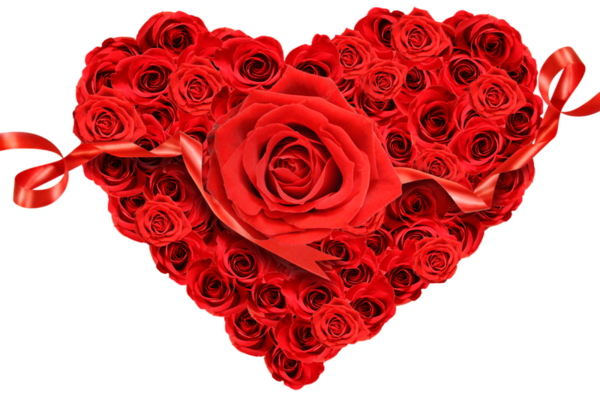 Transparent Rose Heart Garden Roses Petal for Valentines Day