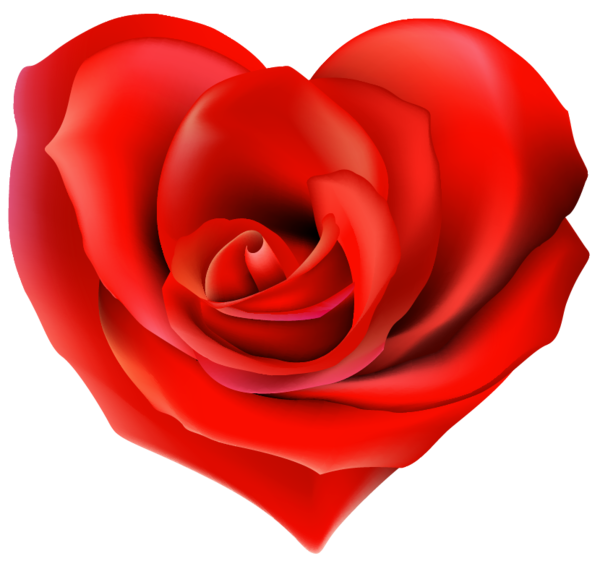 Transparent Rose Heart Garden Roses Flower for Valentines Day