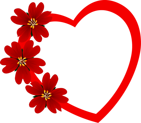 Transparent Chroma Key Film Love Red Petal for Valentines Day