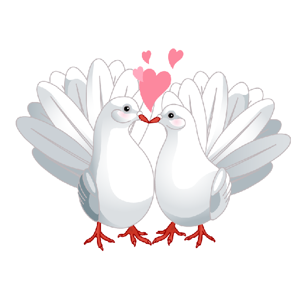 Transparent Columbidae Lovebird Bird Poultry Heart for Valentines Day