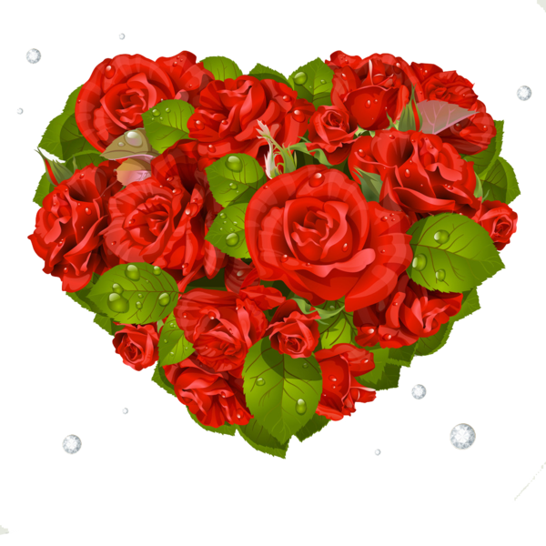 Transparent Valentine S Day Rose Greeting Note Cards Petal Heart for Valentines Day