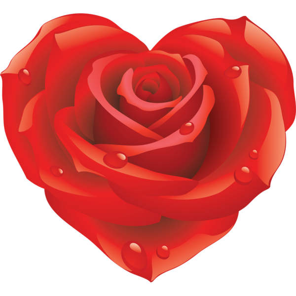 Transparent Rose Pink Blog Heart Flower for Valentines Day