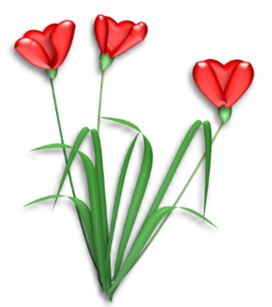 Transparent Flower Cut Flowers Tulip Heart Plant for Valentines Day