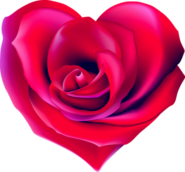 Transparent Heart Rose Shape Flower for Valentines Day