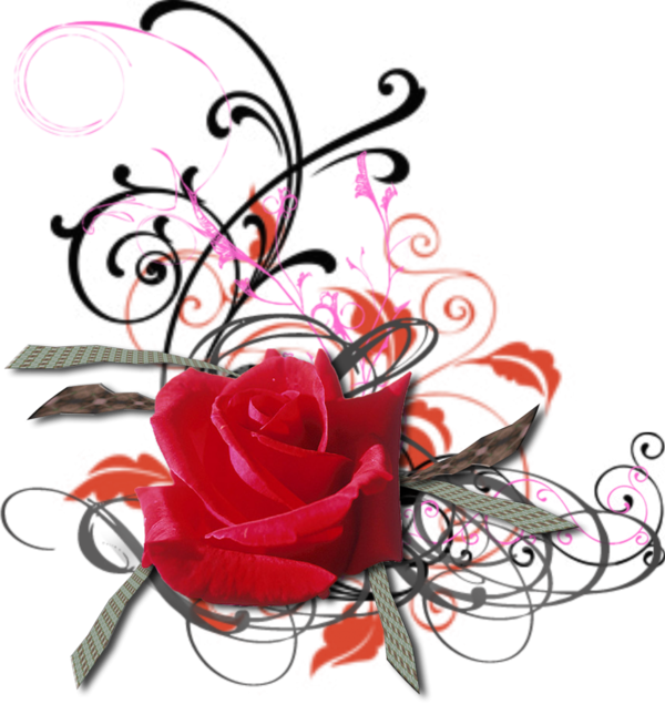 Transparent Flower Garden Roses Blume Heart Love for Valentines Day