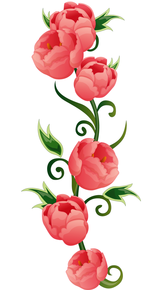 Transparent Flower Rose Color Heart Plant for Valentines Day