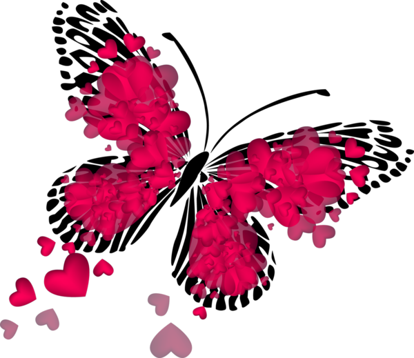 Transparent Valentine S Day Heart Drawing Butterfly Flower for Valentines Day