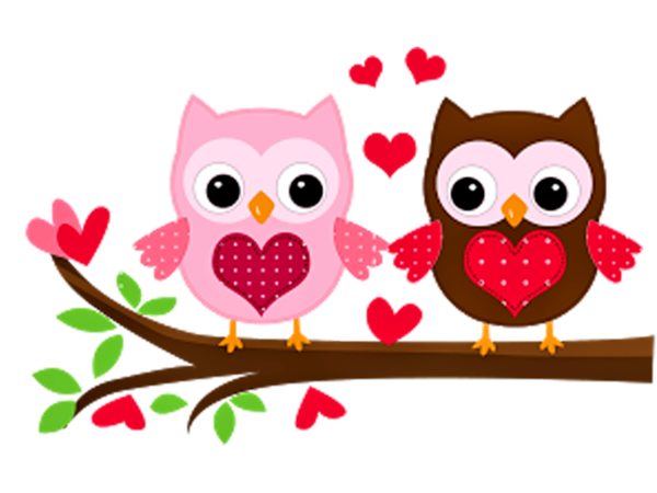 Transparent Little Owl Drawing Paper Owl Flower for Valentines Day