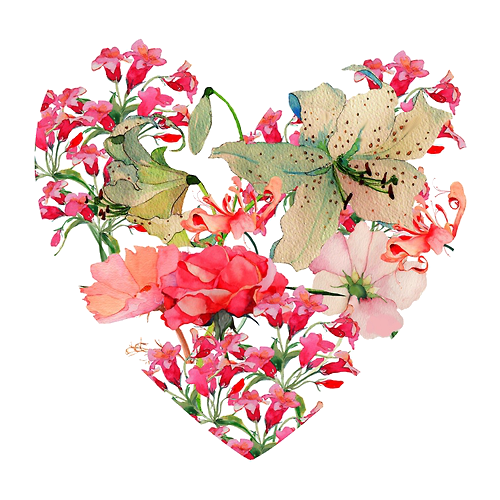 Transparent Flower Heart Valentine S Day Pink Plant for Valentines Day