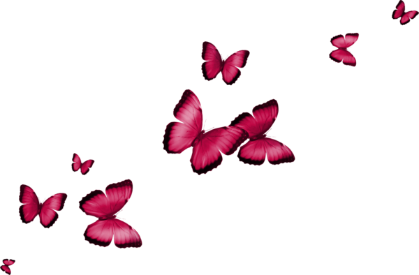Transparent Butterfly Greta Oto Internet Pink for Valentines Day