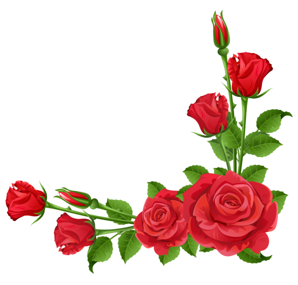 Transparent Border Flowers Flower Rose Petal Heart for Valentines Day
