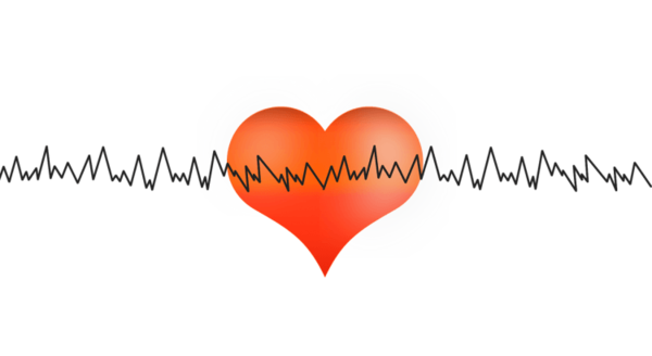 Transparent Heart Cardiology Heart Rate Love for Valentines Day