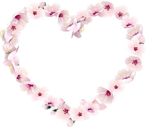 Transparent Heart Flower Valentine S Day Pink for Valentines Day