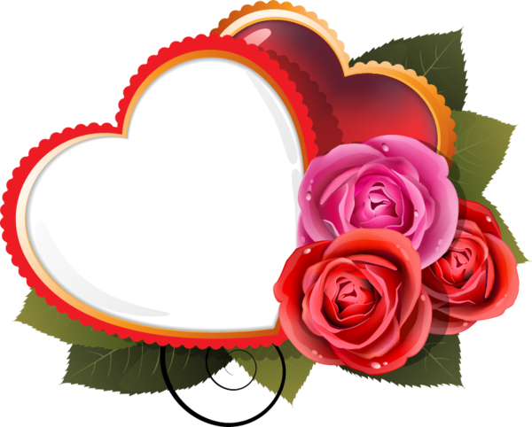 Transparent Heart Rose Flower Garden Roses for Valentines Day