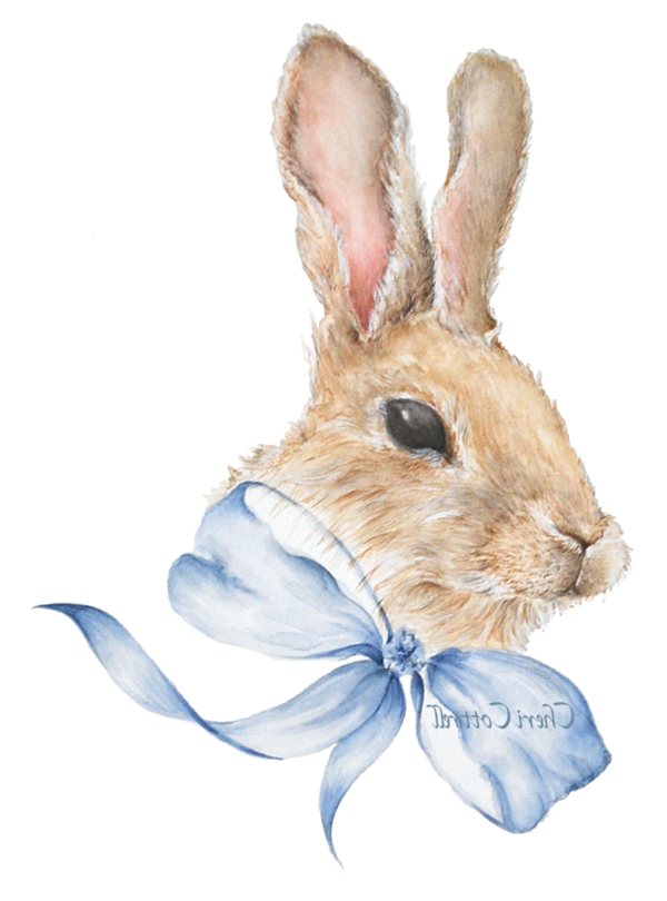 Transparent Easter Bunny Hare Easter Whiskers for Easter