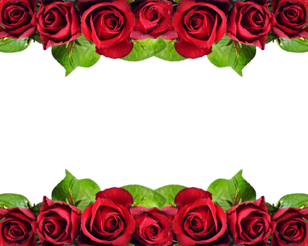 Transparent Rose Flower Floral Design Heart Plant for Valentines Day