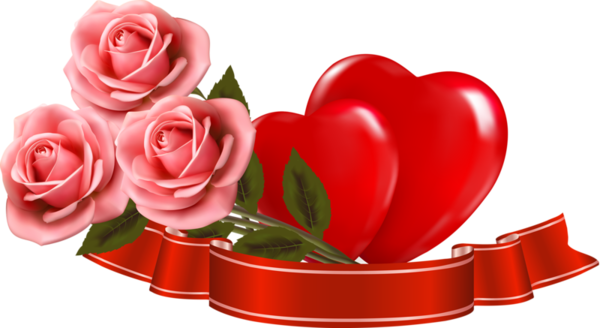 Transparent  Garden Roses Rose for Valentines Day