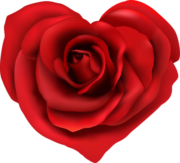 Transparent Alleecenter Hamm Beach Rose Petal Heart Plant for Valentines Day
