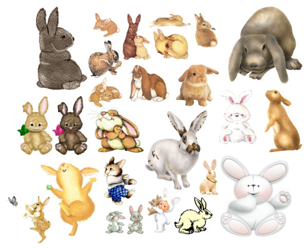 Transparent Easter Bunny Hare Rabbit Wildlife Easter for Easter
