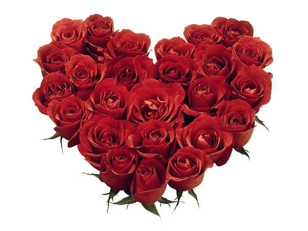 Transparent Rose Heart Flower Petal for Valentines Day