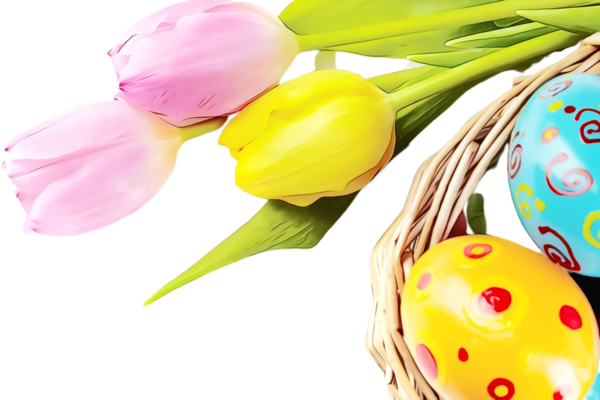 Transparent Tulip Easter Egg Lily Family for Easter