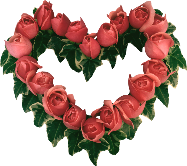 Transparent Valentine S Day Rose Flower Petal Heart for Valentines Day