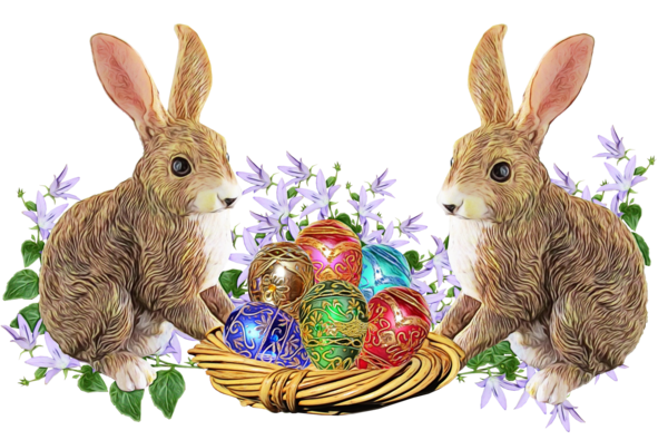 Transparent Domestic Rabbit Rabbits And Hares Rabbit for Easter