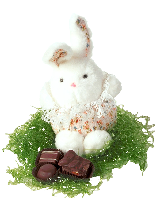 Transparent Easter Bunny Rabbit Easter Food Stuffed Toy for Easter