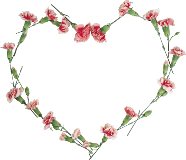Transparent Floral Design Flower Picture Frames Heart Plant for Valentines Day